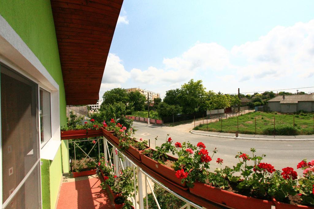 Hotel Casa Nelu Pescaru Mahmudia Exterior foto