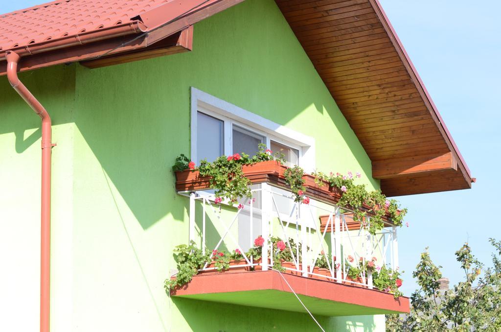 Hotel Casa Nelu Pescaru Mahmudia Exterior foto