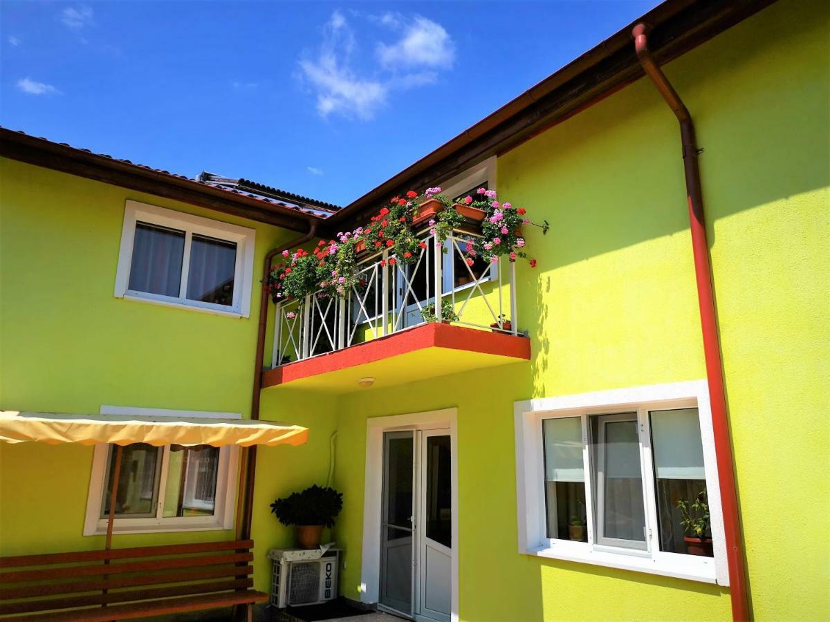 Hotel Casa Nelu Pescaru Mahmudia Exterior foto